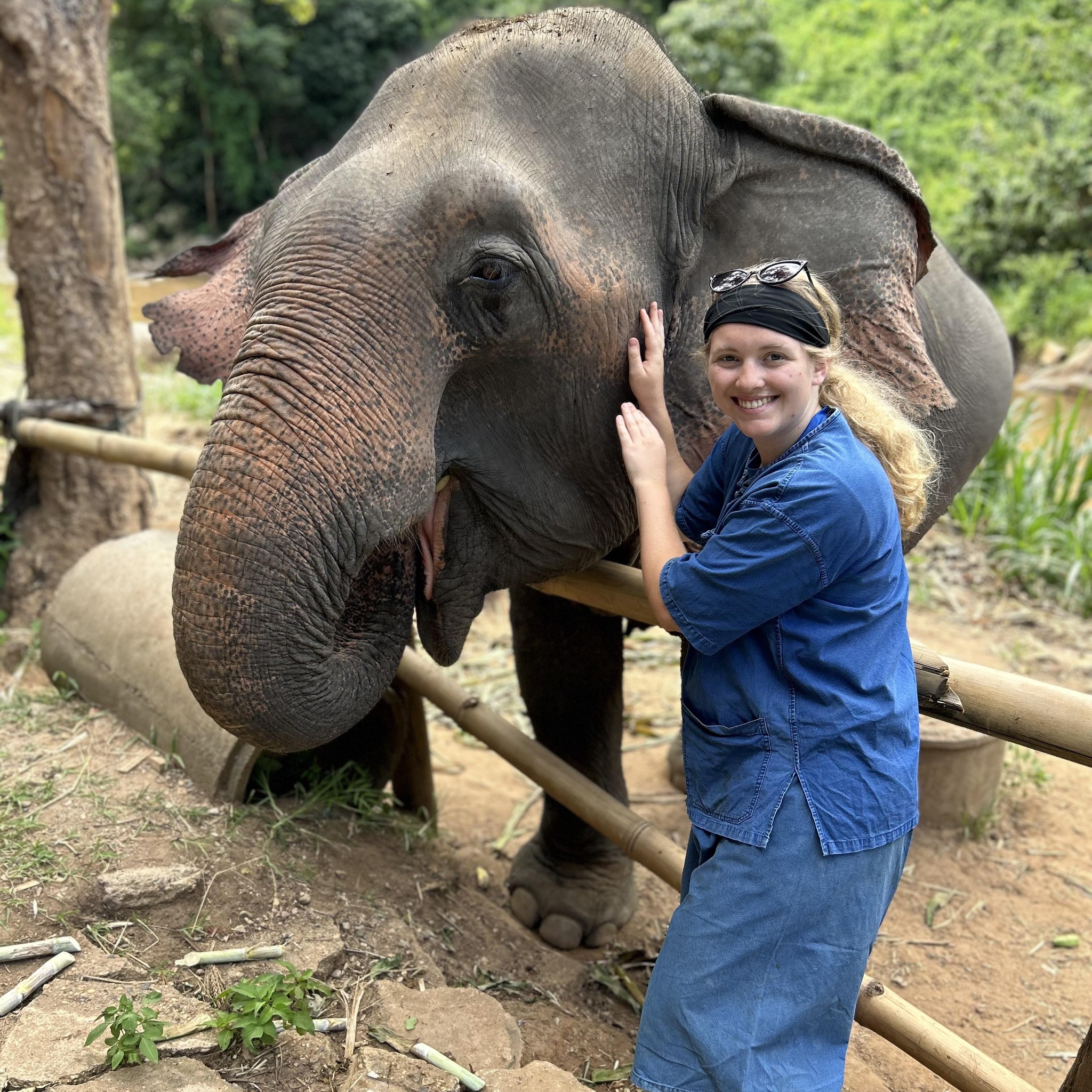 Essential Tips for First-Time Travelers to Northern Thailand